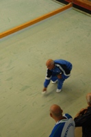Clicca sulla foto per vedere ingrandimento